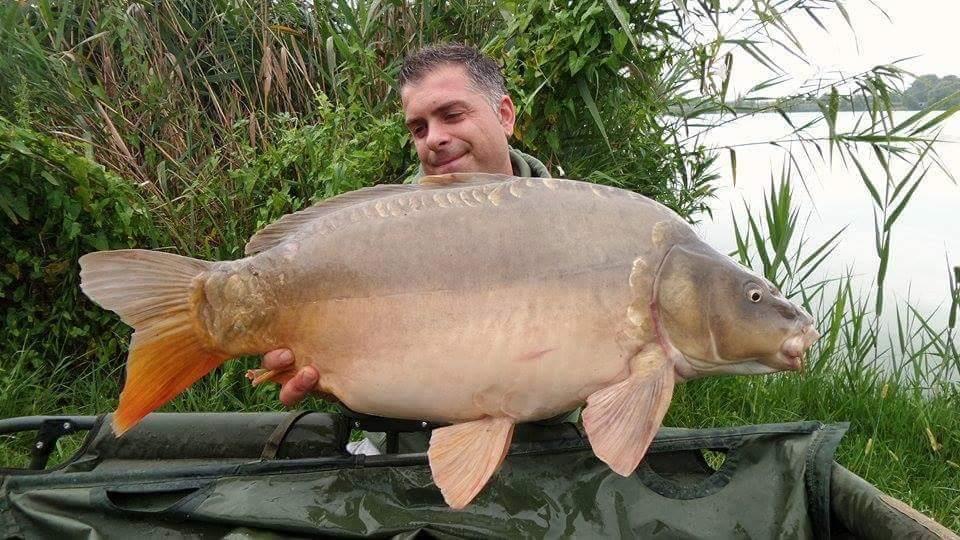 Carpfishing la modul meu 2015 - received756451797810235.jpeg